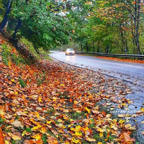 میلاد قهاری انتظار